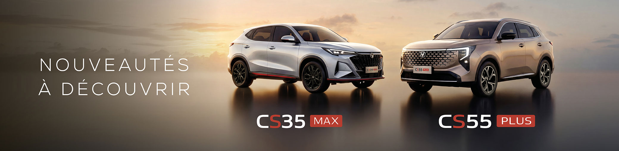 CS35 MAX